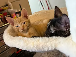 Toffee and Kiara