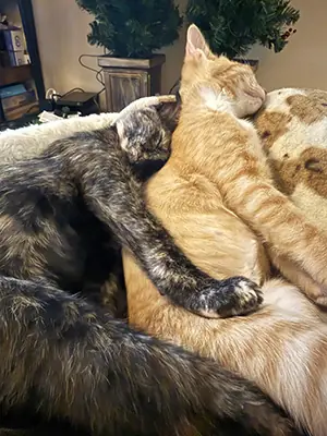 Toffee and Kiara